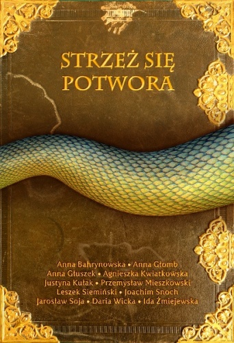 Okładka: Daria Wicka - Strzeż się potwora