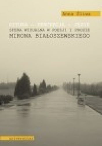 Okładka: Anna Śliwa - Sztuka - percepcja - język. Sfera wizualna w poezji i prozie Mirona Białoszewskiego