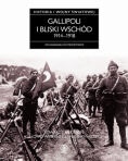 Okładka: Edward J. Erickson - Historia I wojny światowej 5. Gallipoli i Bliski Wschód 1914-1918