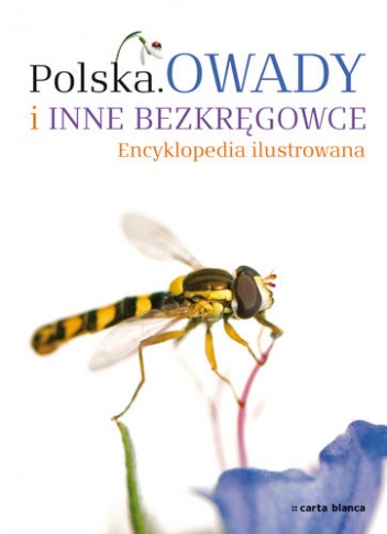 Okładka:  praca zbiorowa - Polska. Owady i inne bezkręgowce