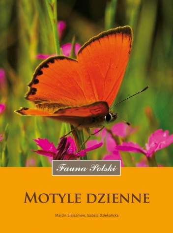 Okładka: Marcin Piotr Sielezniew - Motyle dzienne