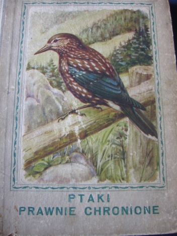 Okładka: Henryk Piaskowski - Ptaki prawnie chronione