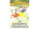 Okładka: Laura Ingalls Wilder - Nad Śliwkowym Strumieniem