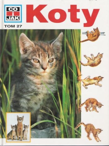 Okładka: Rainer Köthe - Koty