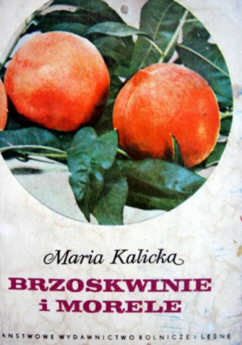 Okładka: Maria Kalicka - Brzoskwinie i morele