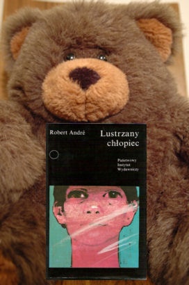 Okładka: Robert André - Lustrzany chłopiec