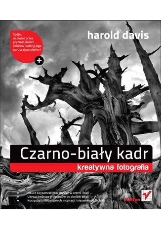 Okładka: Harold Davis - Czarno - biały kadr. Kreatywna fotografia