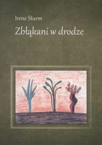 Okładka: Irene Sturm - Zbłąkani w drodze