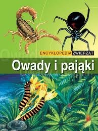Okładka:  praca zbiorowa - Owady i pająki
